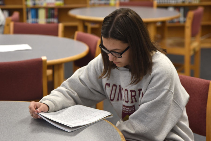 Sophomore Rachel Jacklin studies history in the library. 