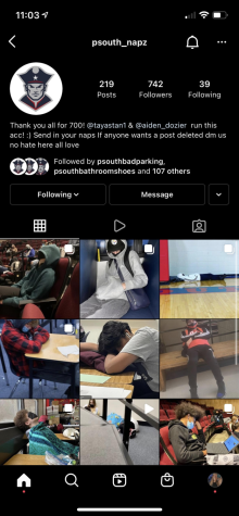 Screenshot of the @psouth_napz Instagram account.
