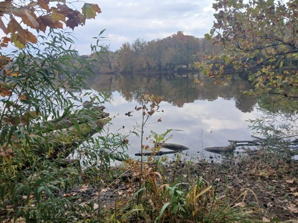 A photo of Simpson Lake, one of the field experiences students take in Environmental Issues class.