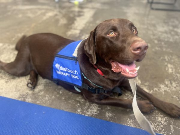 Chief is South's future therapy dog. 