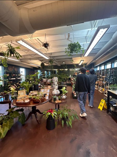 Walking through the plant store inside The Ground coffee shop.