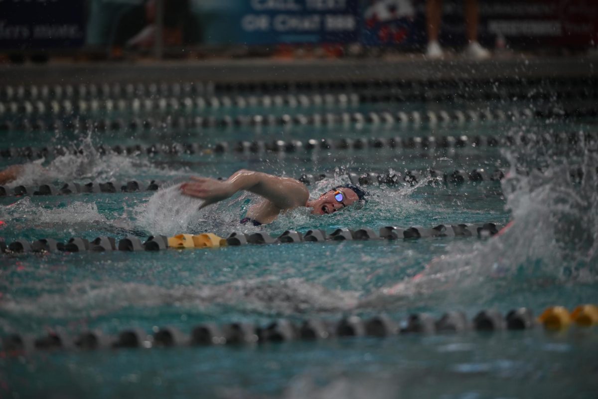 Senior Lexi Cook comes up for a breath while leading in the 500 freestyle finals at the state meet