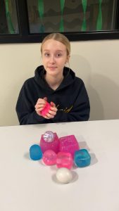 Sophomore Rosalind Hovan takes a picture with 8 of her squishies. 
