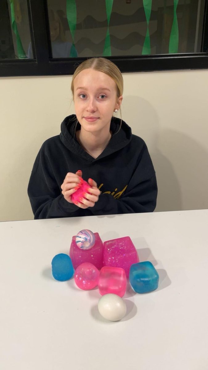Sophomore Rosalind Hovan takes a picture with 8 of her squishies.