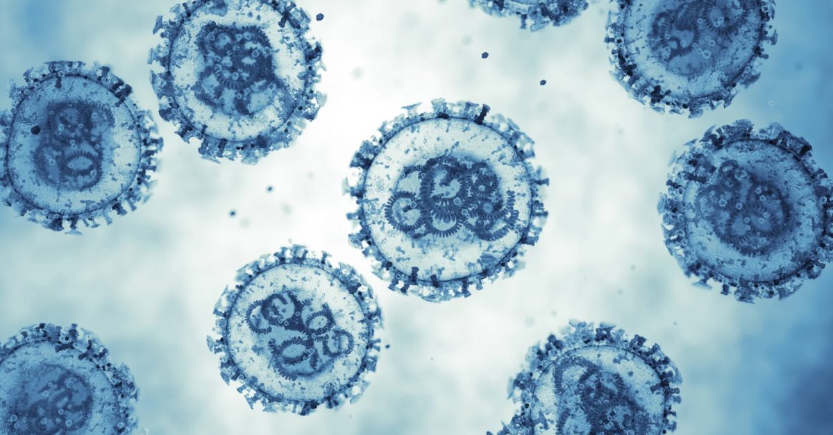 Hantavirus, as seen under a microscope.